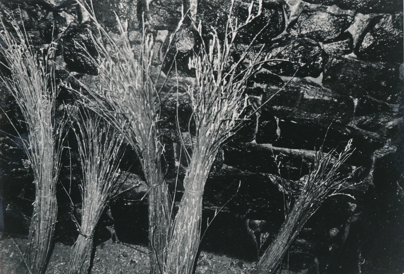 eika image